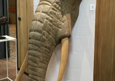 Tête d'éléphant en bronze de Quentin Garel